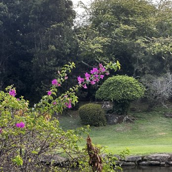 Smith's Family Garden Luau - Music Venues Near Me - Kapaa, Hawaii