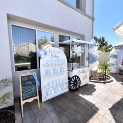 The Party Cart Babe - Boy Baby shower / champagne wall / champagne cart