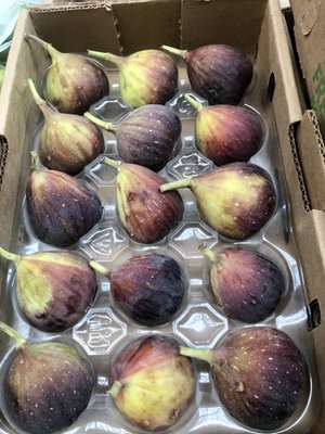 その他 street no.233 234 235 236 237 271 FRUiTS その他 street no.233 234 235 236 237 271 FRUiTS Contact Us
