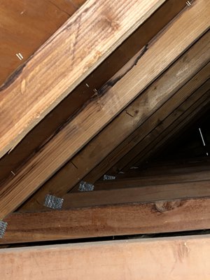 Michael Roofing and Tree Trimming Logo