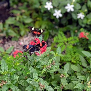 Reiman Gardens - Botanical Gardens Near Me - Ames, Iowa