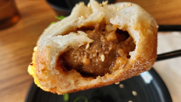 LaoWu Authentic ShangHai Dumpling by null