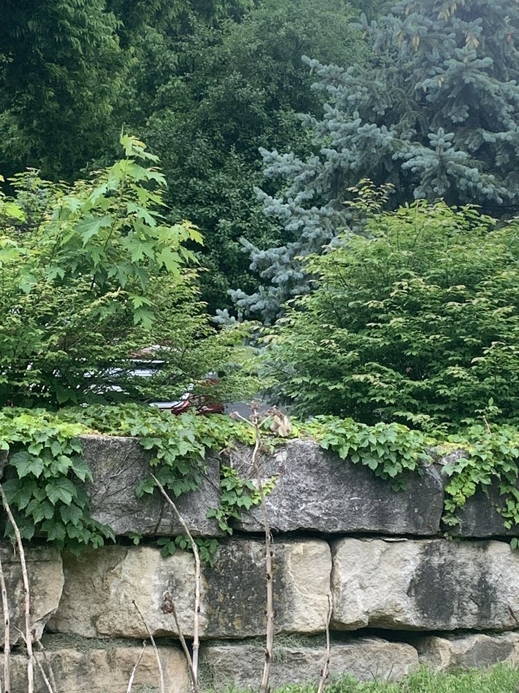 Albonee Country Inn and Vineyards - vineyard in Independence, MO