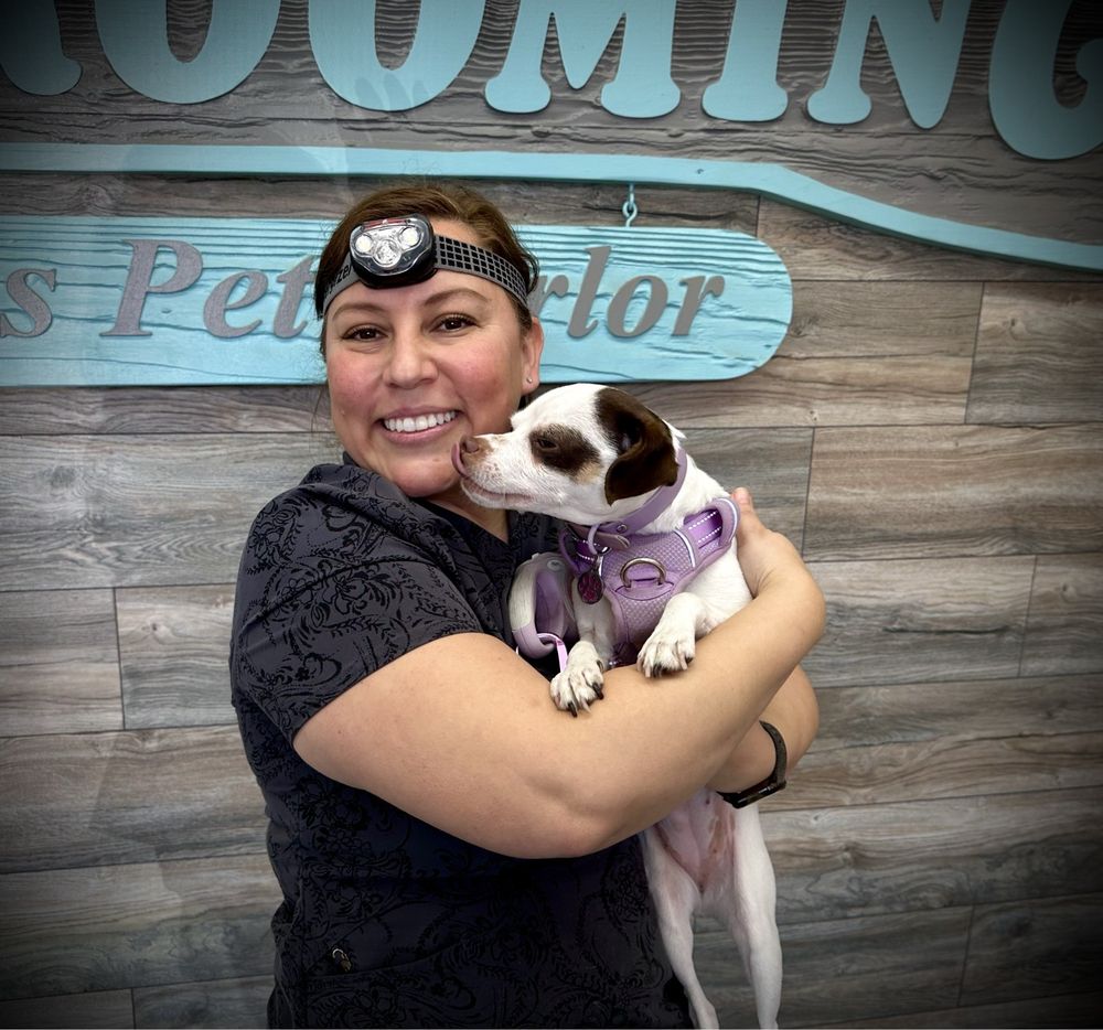 ANGEL’S PET PARLOR Updated September 2024 62 Photos & 46 Reviews