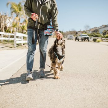 Aloha Positive Dog Training - Working on Loose Leash Walking. - Pet Training Near Me