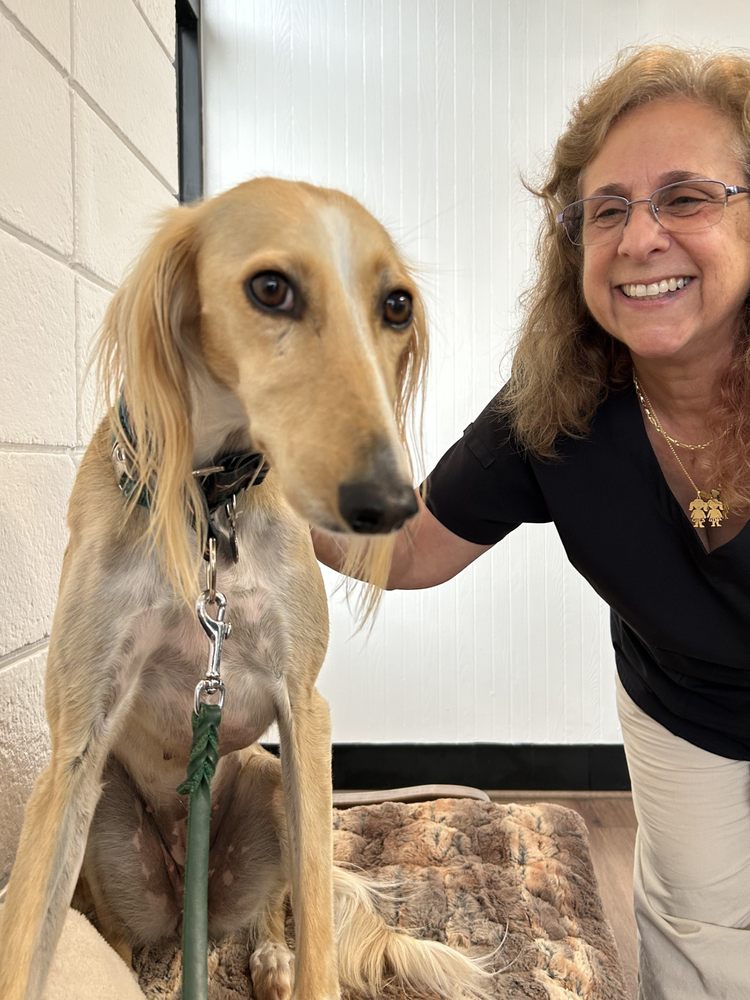 Meridian Veterinary Services