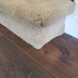 Hole in carpet in corner of the step from dog chewing it. Hole in carpet in corner of the step from dog chewing it.