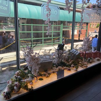 Olivia Macaron - Window - Macarons Near Me - Washington, DC, District of Columbia