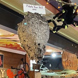This piñata is the bee's knees!