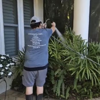 Green & Clean - Green & Clean Lanai Cleaning screens - Home Cleaning Near Me - Fort Myers, Florida Green & Clean - Green & Clean Lanai Cleaning screens - Home Cleaning Near Me - Fort Myers, Florida
