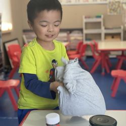 Little Dragon Bilingual Learning Center