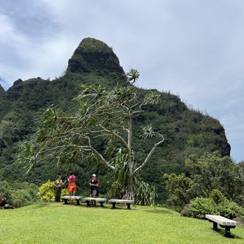 Limahuli Garden and Preserve - Some of the final views offer stunning backdrops and peaks at the big north shore surf below - Botanical Gardens Near Me - Haena, Hawaii Limahuli Garden and Preserve - Some of the final views offer stunning backdrops and peaks at the big north shore surf below - Botanical Gardens Near Me - Haena, Hawaii