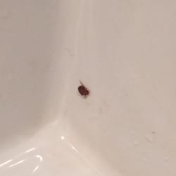 Hôtel Regina - Even in the SINK