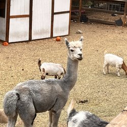 Greenspot Farm