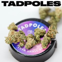 Whole Greens - Pic of the website