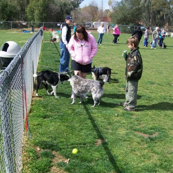 Phoenix Dog Park - Jake; the new dog at the park makes friends. - Dog Parks Near Me Phoenix Dog Park - Jake; the new dog at the park makes friends. - Dog Parks Near Me
