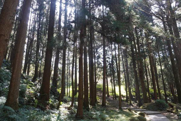 Alishan Hotel by null