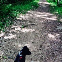 My puppy gives this place five stars for dog walking. I give it five of my own for running and light hiking. My puppy gives this place five stars for dog walking. I give it five of my own for running and light hiking.