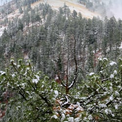 University Mountain - University Mountain in snow and pine, October 2012.