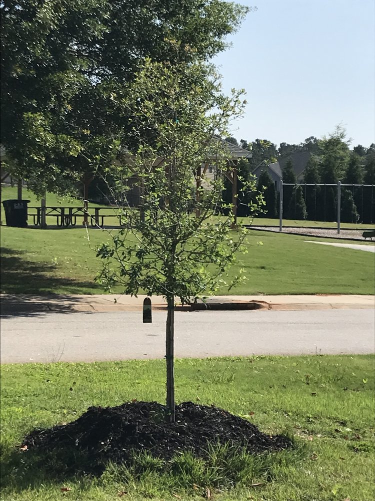 CAROLINA FRESH FARMS Updated August 2024 3620 Highway 81 N