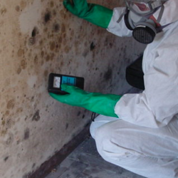 First Response Restoration & Cleaning