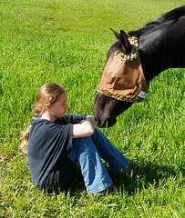 Lincoln Equestrian Center - equestrian in Lincoln, NE