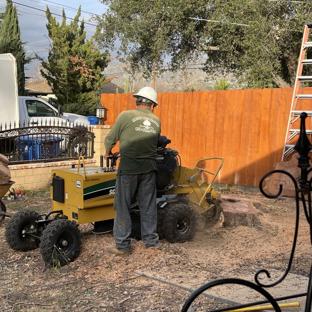 Artist Tree Service - Tree Services Near Me - Sylmar, California