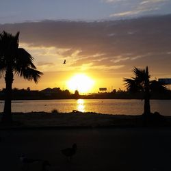 Louis' RV PARK - Beautiful sunsets