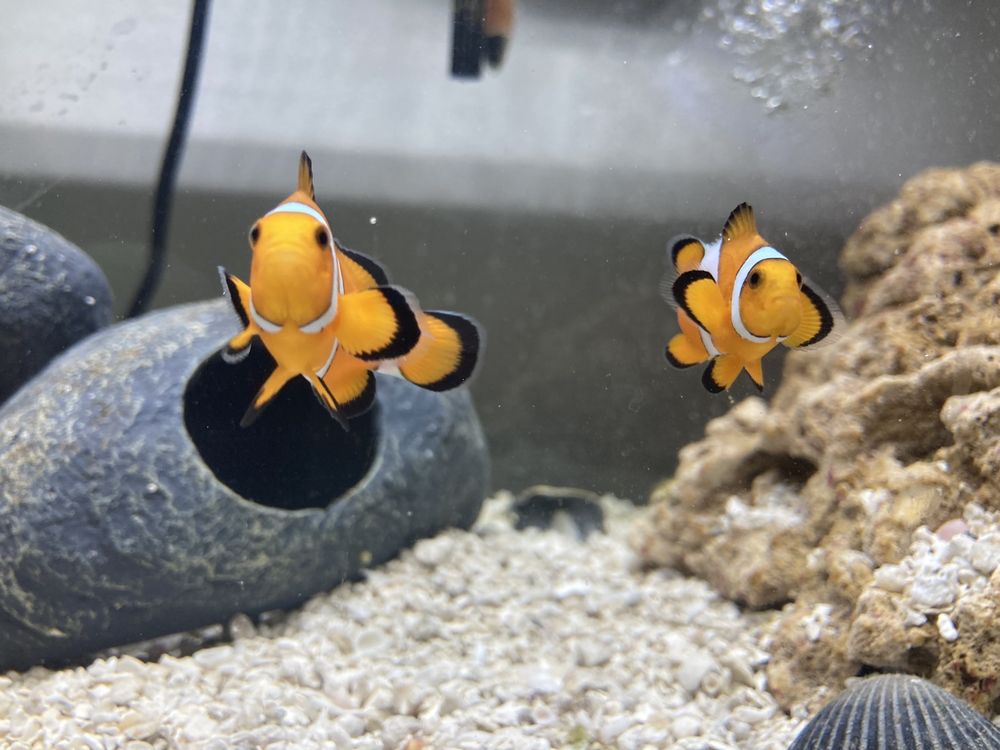 AQUARIUM ADVENTURE COLUMBUS Updated September 2024 40 Photos & 134