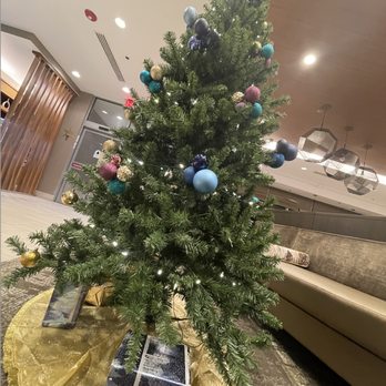 SpringHill Suites by Marriott Reno - Tis the season - Hotels Near Me - Reno, Nevada SpringHill Suites by Marriott Reno - Tis the season - Hotels Near Me - Reno, Nevada