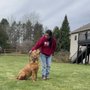 West Michigan K9