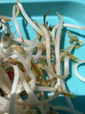 Le Petit Sao PSC (Pointe-Saint-Charles) by null