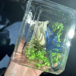 Flower Patch - Boutonniere