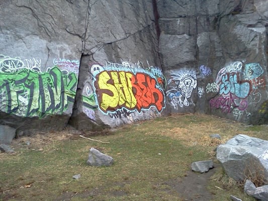 Quincy Quarries Reservation by null