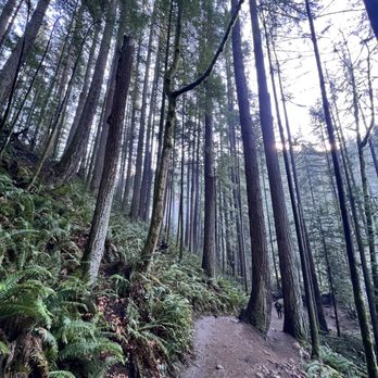 Twin Falls Trailhead - Hiking Near Me - North Bend, Washington