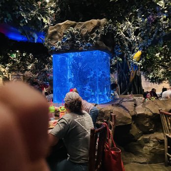 Rainforest Cafe - American Near Me - Galveston, Texas Rainforest Cafe - American Near Me - Galveston, Texas