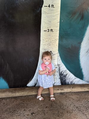 Palm Beach Zoo & Conservation Society by null