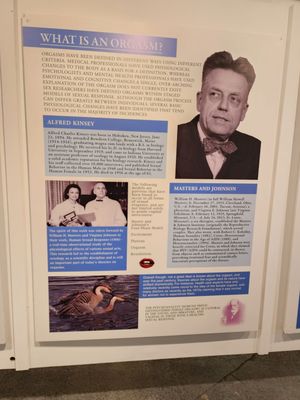 Erotic Heritage Museum by null