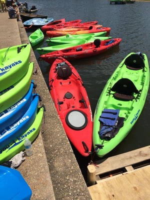 Bayou Paddlesports by null