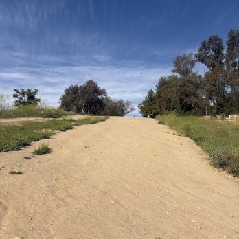 Eucalyptus Trail Loop - Hiking Near Me - Chino Hills, California Eucalyptus Trail Loop - Hiking Near Me - Chino Hills, California