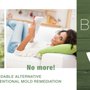 Photo of Biorganic Mold Removal
