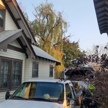 Brett's Tree Service - Tree Services Near Me Brett's Tree Service - Tree Services Near Me
