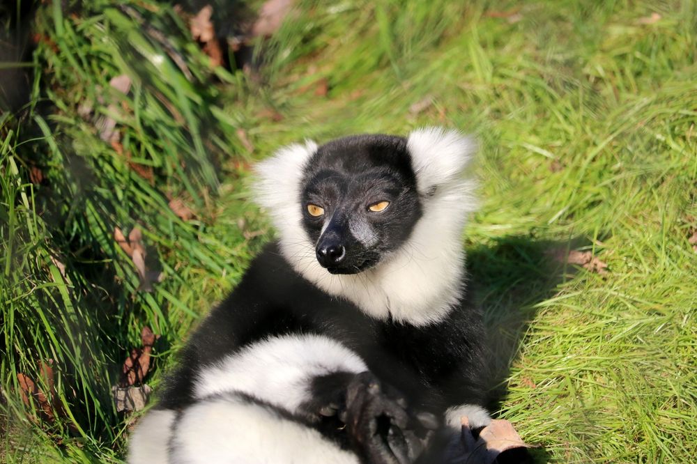 BRANDYWINE ZOO Updated September 2024 132 Photos & 63 Reviews