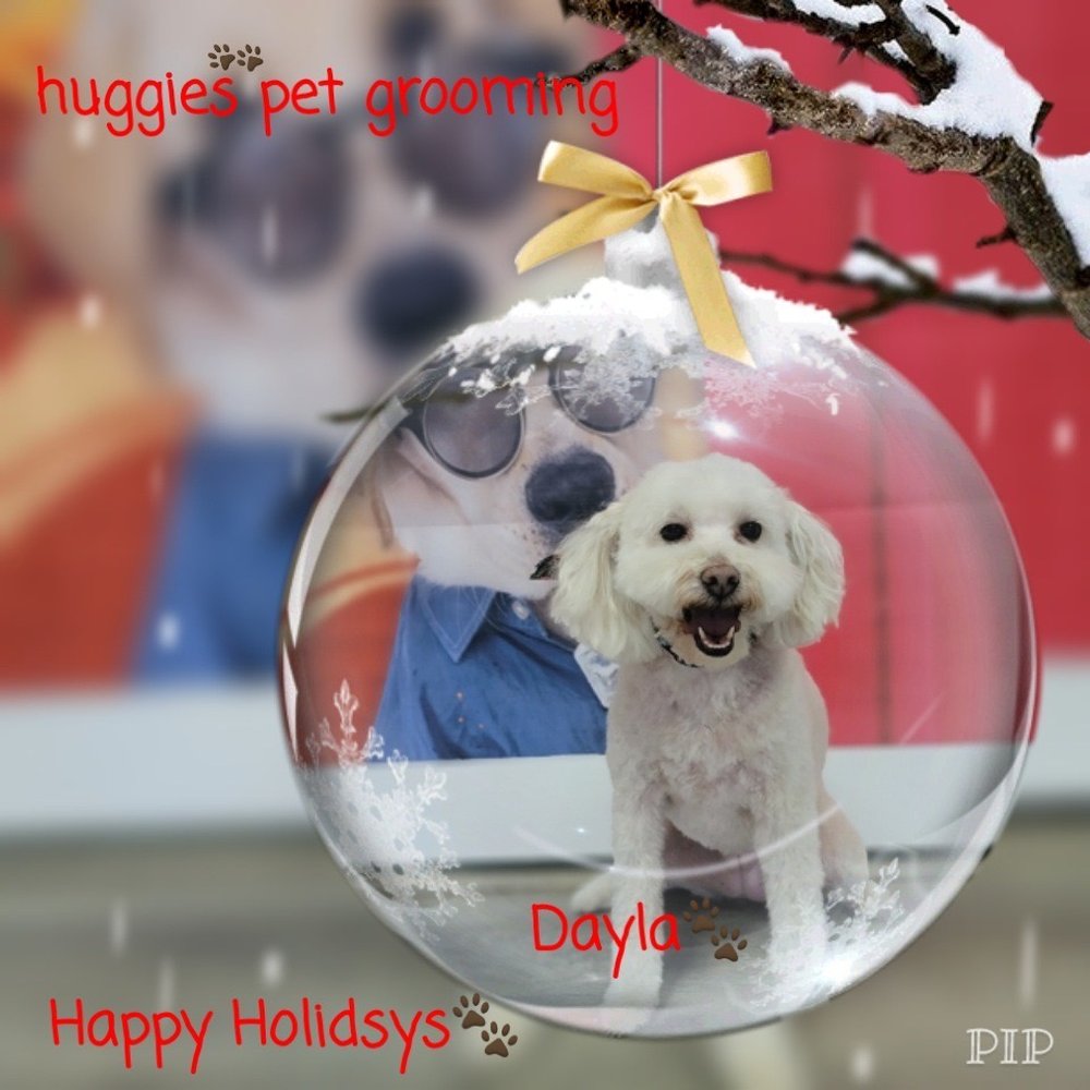 Huggies Pet Grooming - My princess Dayla - Pet Groomers Near Me - Hollywood, Florida