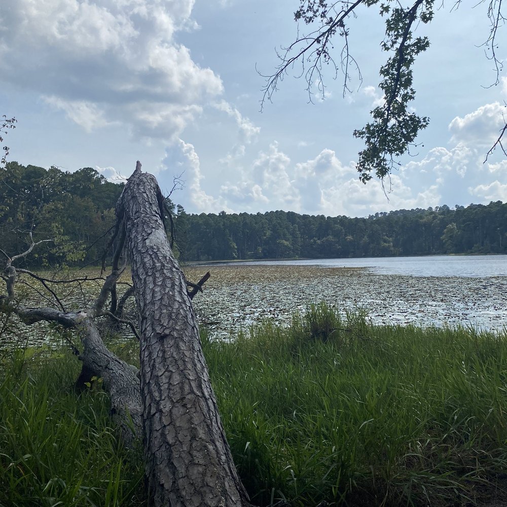 DAINGERFIELD STATE PARK - Parks Near Me - Daingerfield, Texas
