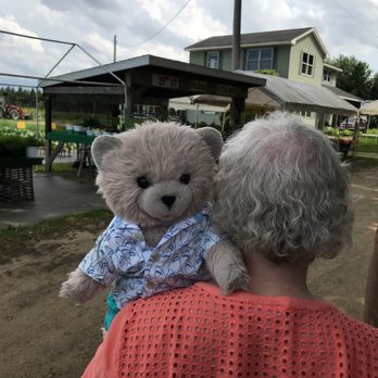 29th Street Farm Stand - Tristan often gets an ounce of catnip from the market's herb garden because it attracts cats. - Pick Your Own Farms Near Me - Paw Paw, Michigan 29th Street Farm Stand - Tristan often gets an ounce of catnip from the market's herb garden because it attracts cats. - Pick Your Own Farms Near Me - Paw Paw, Michigan