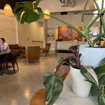 Good Neighbor Ca Phe - Coffee & Tea Near Me - Portland, Oregon