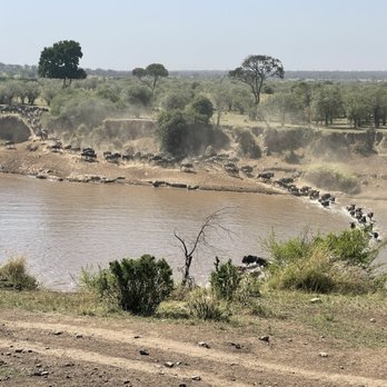 Tanzania Outdoor Adventures, LLC - The beginning of the Great Migration crossing - Tours Near Me - Reno, Nevada Tanzania Outdoor Adventures, LLC - The beginning of the Great Migration crossing - Tours Near Me - Reno, Nevada