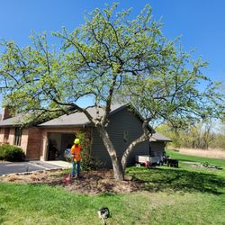Bobby's tree service - Took special care when trimming our very old crabapple tree.