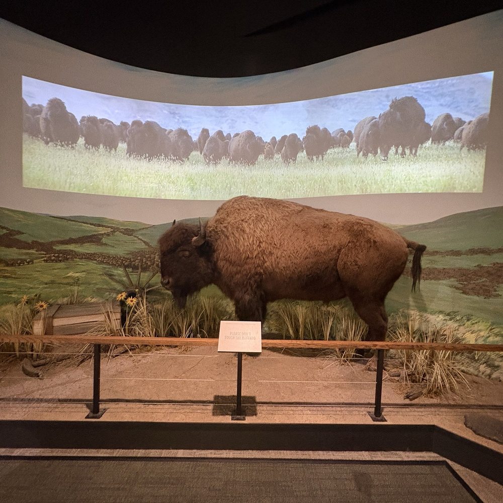 Boot Hill Museum - Museum - Museums Near Me - Dodge City, Kansas Boot Hill Museum - Museum - Museums Near Me - Dodge City, Kansas